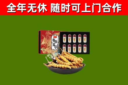 吴江区回收冬虫夏草价格